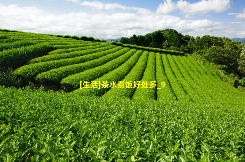 [生活]茶水煮饭好处多